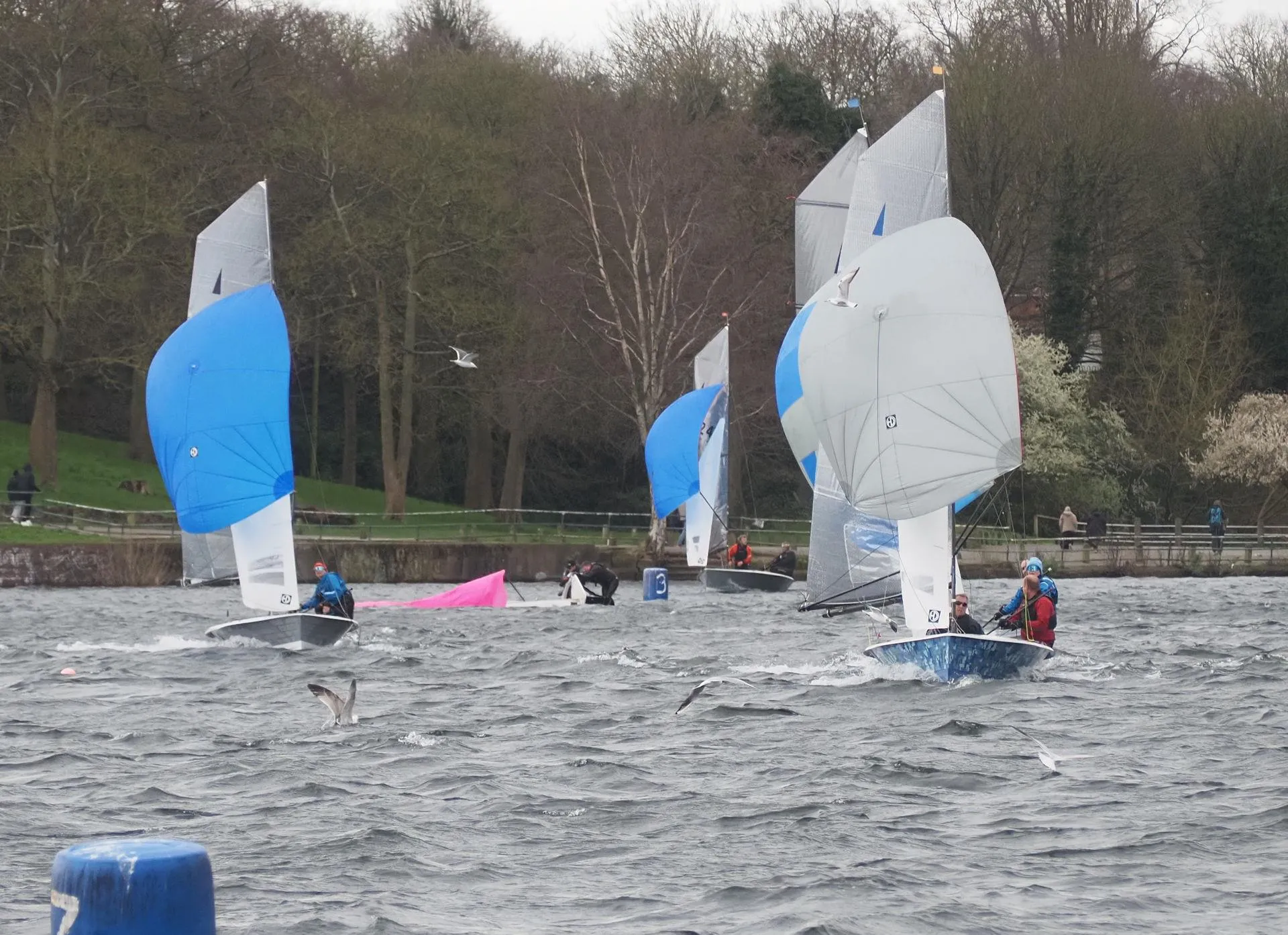Challenging conditions during the Merlin open at Midland Sailing Club - photo © Julian Harms